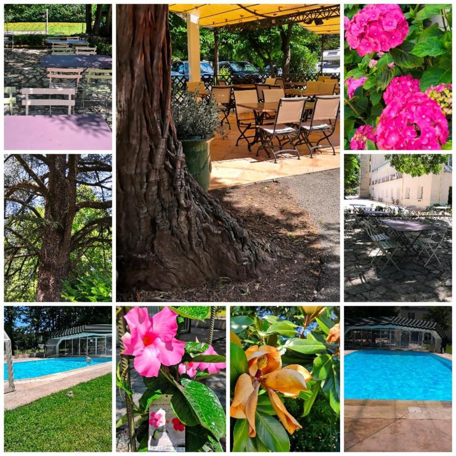 Logis Hotel Restaurant Les Cedres Joyeuse Esterno foto